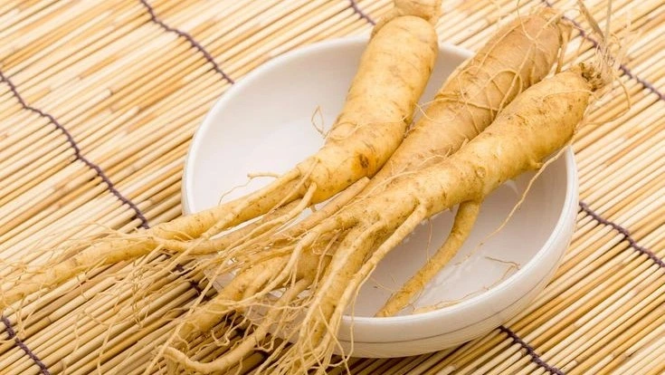 Ginseng (Panax Ginseng)