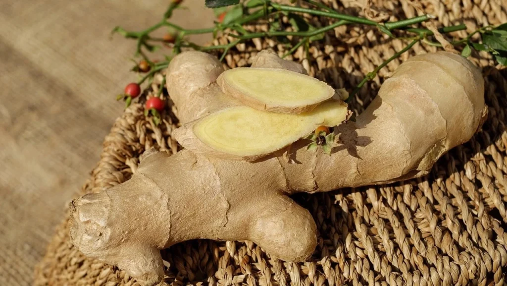 Ginger (Zingiber officinale)