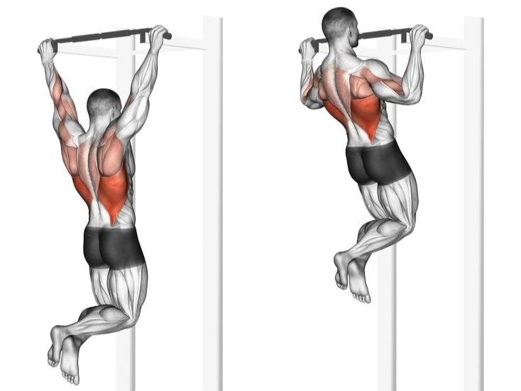 Isometric Chin-Up Holds (Using Doorframes or Ledges)