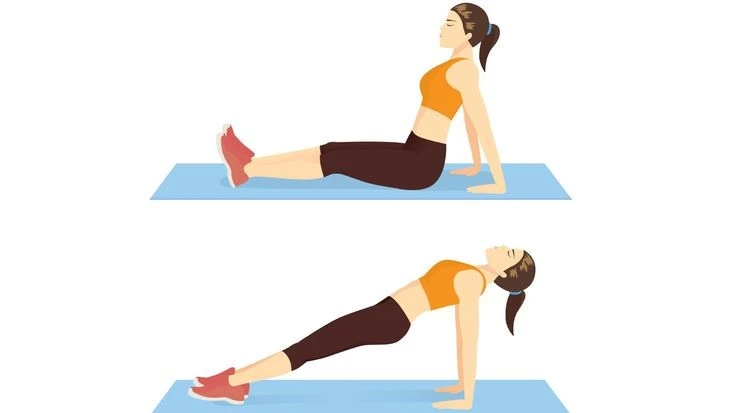 Reverse Plank