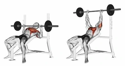 The image highlights the activation of the upper chest muscles (clavicular head of the pectoralis major). The left side shows the starting position with the barbell lowered to the chest, while the right side depicts the completion of the lift with arms fully extended. This chest workout at gym exercise is ideal for building upper chest strength and definition.