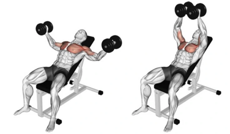 Flat Dumbbell Flyes