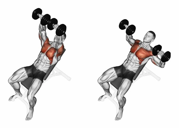 Incline Dumbbell Press