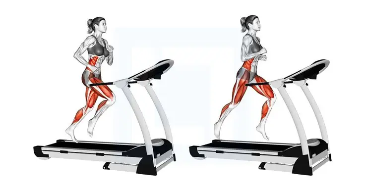 Illustration of a woman performing treadmill exercises highlighting muscle activation, demonstrating effective gym workouts for women to lose weight.