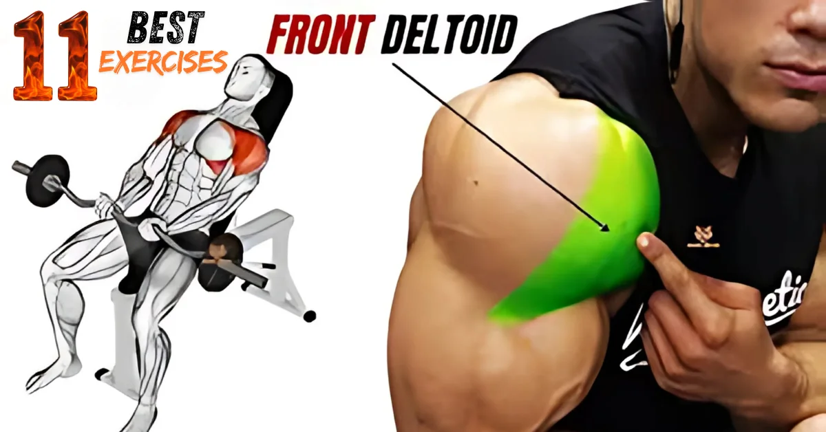 Illustration and photo demonstrating front delt exercises, highlighting the front deltoid muscle in green with a labeled arrow for targeted shoulder training.