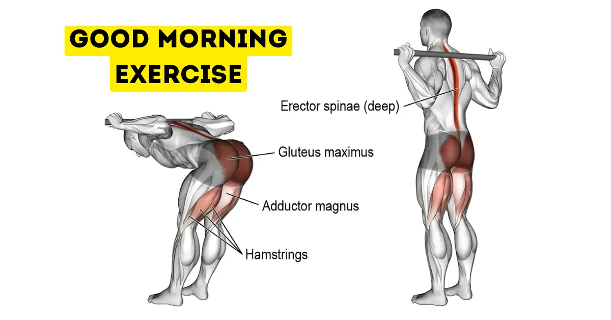 Good morning exercise illustration showing targeted muscles including hamstrings, gluteus maximus, adductor magnus, and erector spinae during barbell movement.